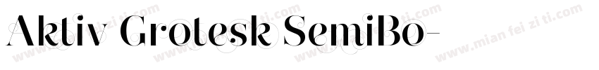 Aktiv Grotesk SemiBo字体转换